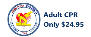 adult cpr, only $24.95