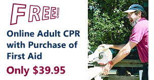 First Aid Course