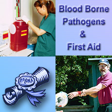 Bloodborne Pathogens First Aid