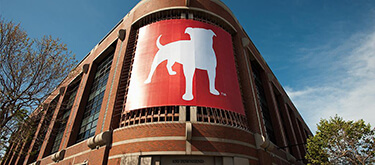 Zynga